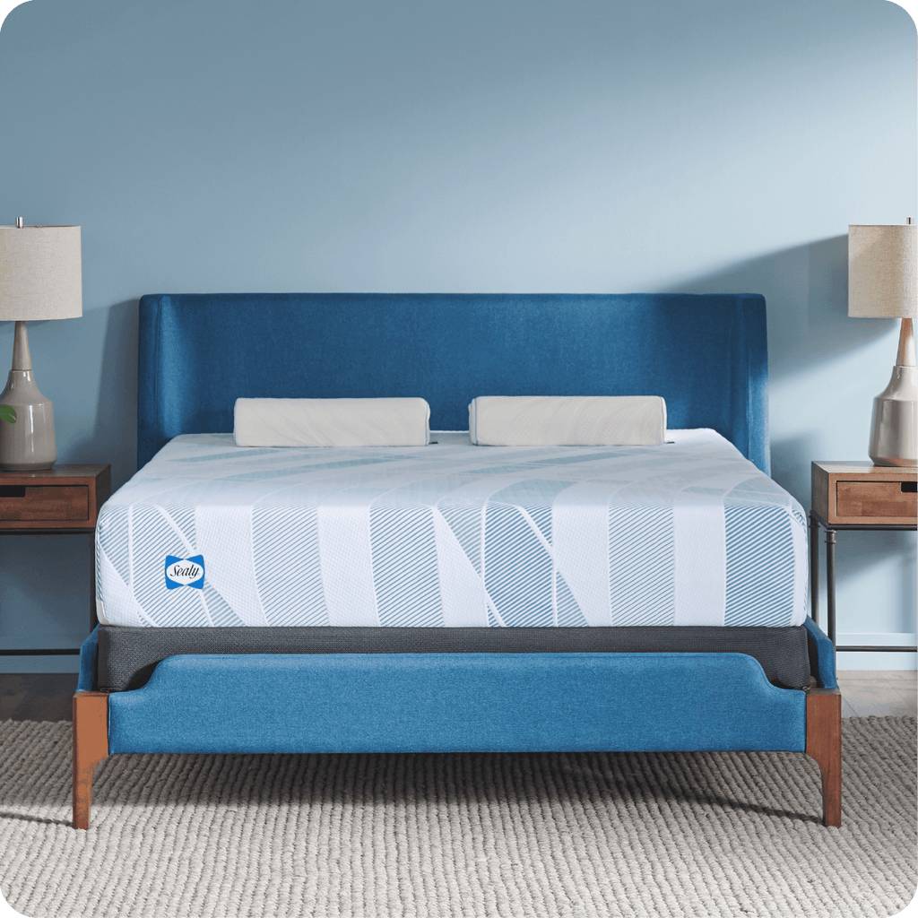 Sealy Dreamlife 10” Queen Gel Memory Foam Mattress-in-a-Box, Adult